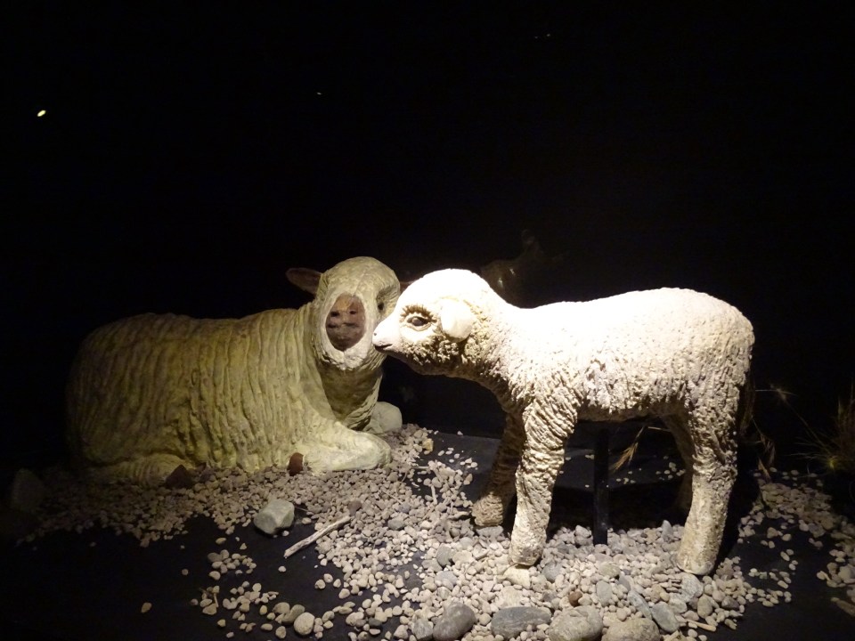 A lamb made completely of chocolate