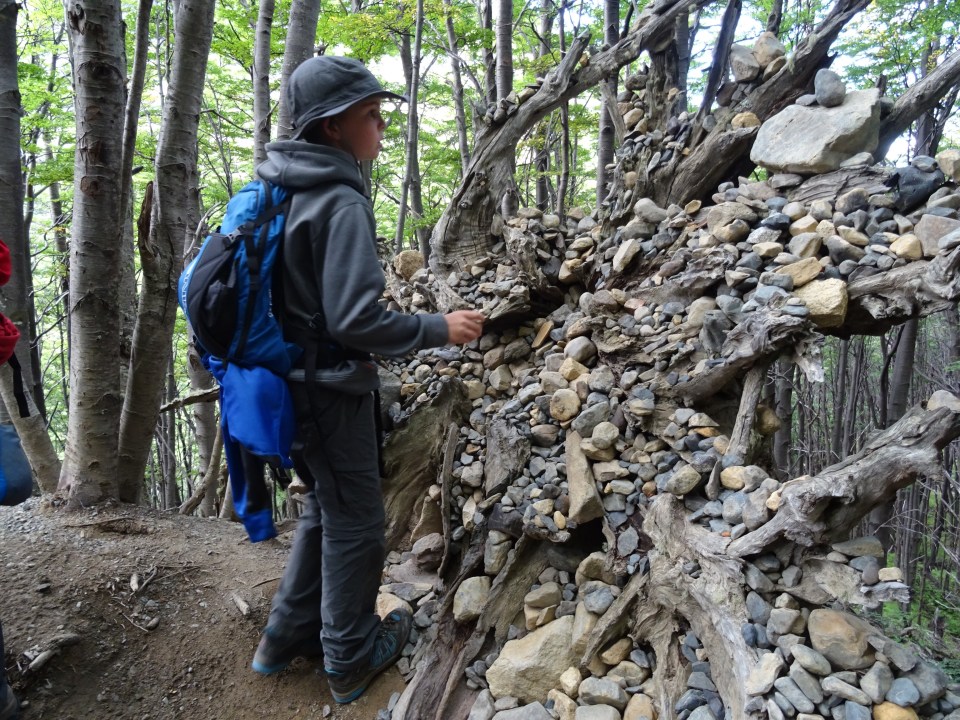 While Hiking up there's a tree that has fallen and everyone puts a rock in - very cool.