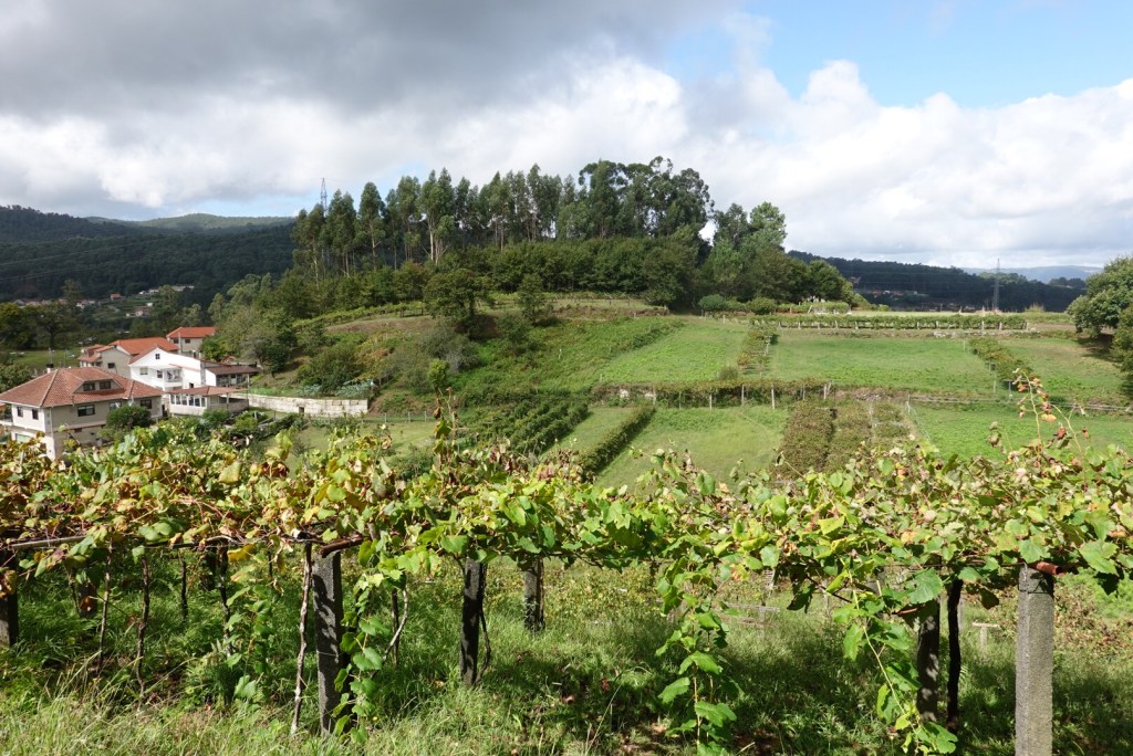Day 3:  Redondela to Pontevedra (13&nbsp;mi)